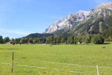 수입 준 오스트리아 농민, 겨울엔 스키 손님 맞이
