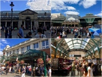 세계 여행의 가르침 할까 말까 고민될 땐 해라