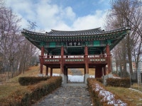 인삼에 버금 간다는 사삼, 정체는?