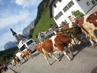 유네스코 지원받는 500년 된 농장, 구경해보니