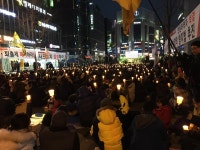 중독 공화국 대한민국에서 벌어진 희한한 일들