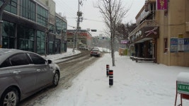 [모이] 홍성에도 큰 눈, 운행 포기한 차량도