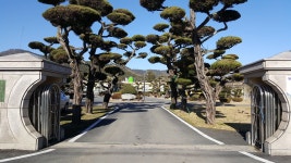 40년전 초등학교 등굣길을 다시 걸어보다