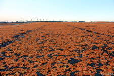 겨울이 끝나기 전 마지막 제주여행은 어디로?