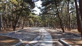 태안 몽산포해수욕장 오토캠핑장 인허가 논란