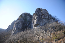 군대 얘기 이제 안합니다. 지겹거든요