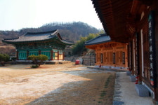 도심 속 바람이 드나들고 풍경 소리 마음을 두드린다