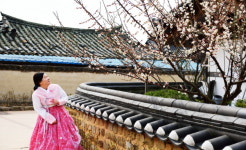 최고의 옛 정원, 초승달에 산수유까지 피었다