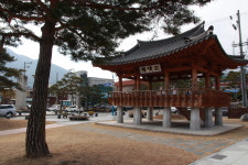 곧 시들 겨울, 마음에 담으며 다닌 산책길