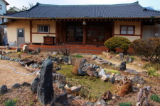 곧 시들 겨울, 마음에 담으며 다닌 산책길