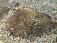 냄새 나지 않는 생태화장실, 이렇게 만든다