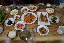 어찌 저토록 아름다울 수가... 제주의 봄날 풍경