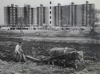 목동은 어떻게 작은 강남이 되었나