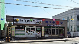 벚꽃놀이 대신 역사 배운 양양 현산공원