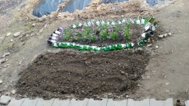 술병으로 꽃밭을 만들다