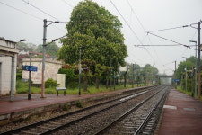 우리의 장미대선, 프랑스보다 뜨거웠던 이유