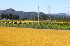 아키타 내륙종관철도, 무인역에서 느끼는 아름다움