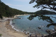 안개와 구름속으로 자주 숨는다는 몰운대