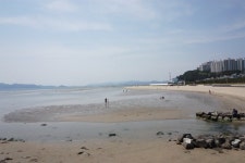 안개와 구름속으로 자주 숨는다는 몰운대