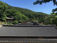 [모이] 강화의 중심 전등사