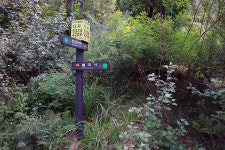 가뭄 때문에 우면산 약수터가 말랐다