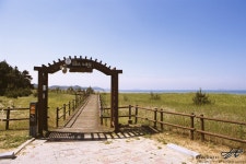 사막 보고 싶으면 서해로 가세요