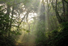 하늘 아래 떠 있는 낙원, 바로 여깁니다 