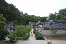 [모이] 도산서원을 이제서야 찾았습니다
