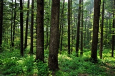 전철에서 옛사랑 만나고... 98번 국도로 달려갔다