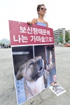 [사진] 보신탕 때문에 나는 가마솥으로!