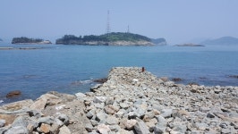 몸살 앓는 여수 사도... 산림·토지 훼손 심각