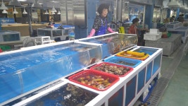 그간 고생했으니... 상처 딛고 다시 연 여수수산시장