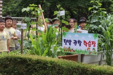 텃밭에 우리 친구들이 살아요... 상상력도 쑥쑥