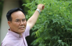 텃밭에 우리 친구들이 살아요... 상상력도 쑥쑥