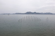 박치기왕 김일이 반겨주는 곳, 예술의 섬 연홍도