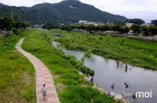 [모이] 전주천에서 알게 된 전주 콩나물국밥의 비결 