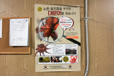 살아 있는 명태, 한 마리에 50만 원... 동해의 눈물