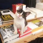 책방에 고양이가 걸어 들어왔습니다