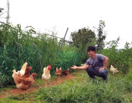 마트에 친환경달걀 왜 그렇게 많아졌나 했더니