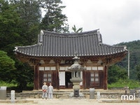 [모이] 실상사 목탑지 잔디엔 304개 등이 켜진다