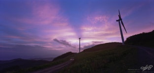 하늘에서 별이 쏟아지는 숲, 해외 안 나가도 됩니다