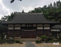 [사진] 군산 일본식 사찰에 서 있는 소녀상 