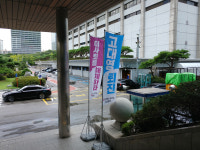 53년 전 박정희에게 항복 선언 받아낸 조선과 동아