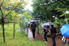 생태 통합보육 메카, 여수 베타니아 특수어린이집