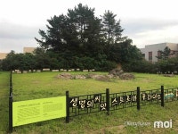 [모이] 이게 1억만 년 전부터 있었던 돌멩이?