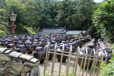 절집에서 만든 저염 재료로 요리하는 된장찌개