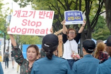 [현장] 개식용 합법화 찬성과 반대의 목소리 충돌