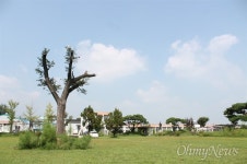 곡성 폐교의 기적... 천년 숲 만든다