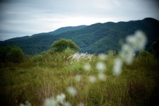 기차 달리던 철교, 지금은 자전거가 달린다