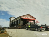 [모이] 국내산 커피는 어떤 맛일까?